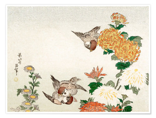 Posters et tableaux de «
 Moineaux et chrysanthèmes » de Katsushika Hokusai | Posterlounge